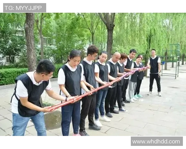 杭州乒乓球队团队协作新模式引发热议助力竞技水平提升